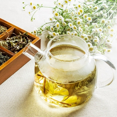 Discover the Many Benefits of Herbal Teas