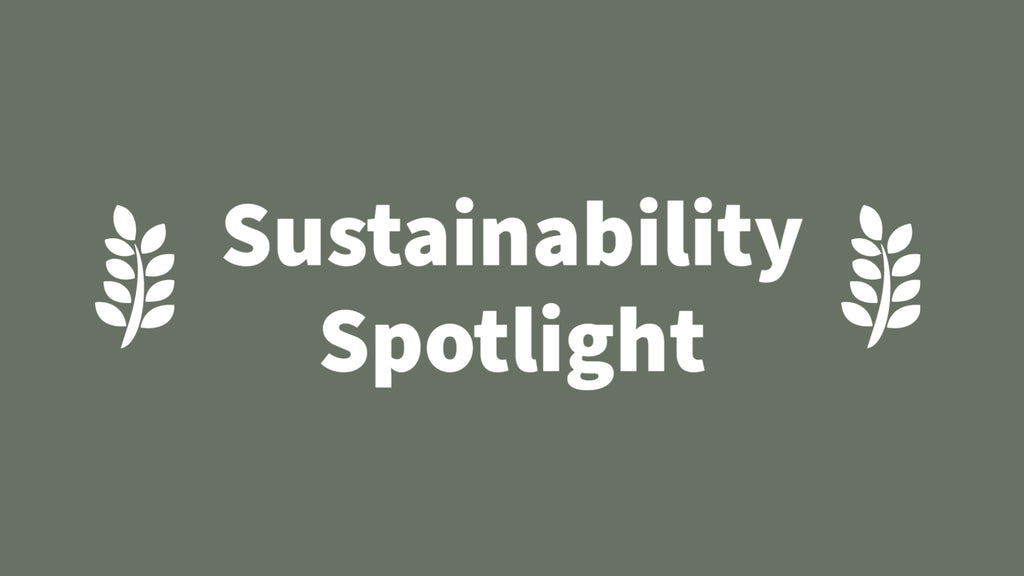 October Sustainability Spotlight