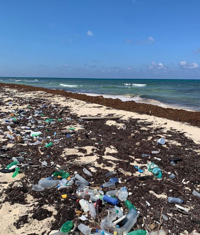 Plastic Oceans Charity: Tackling one of the most pressing environmental issues of our time