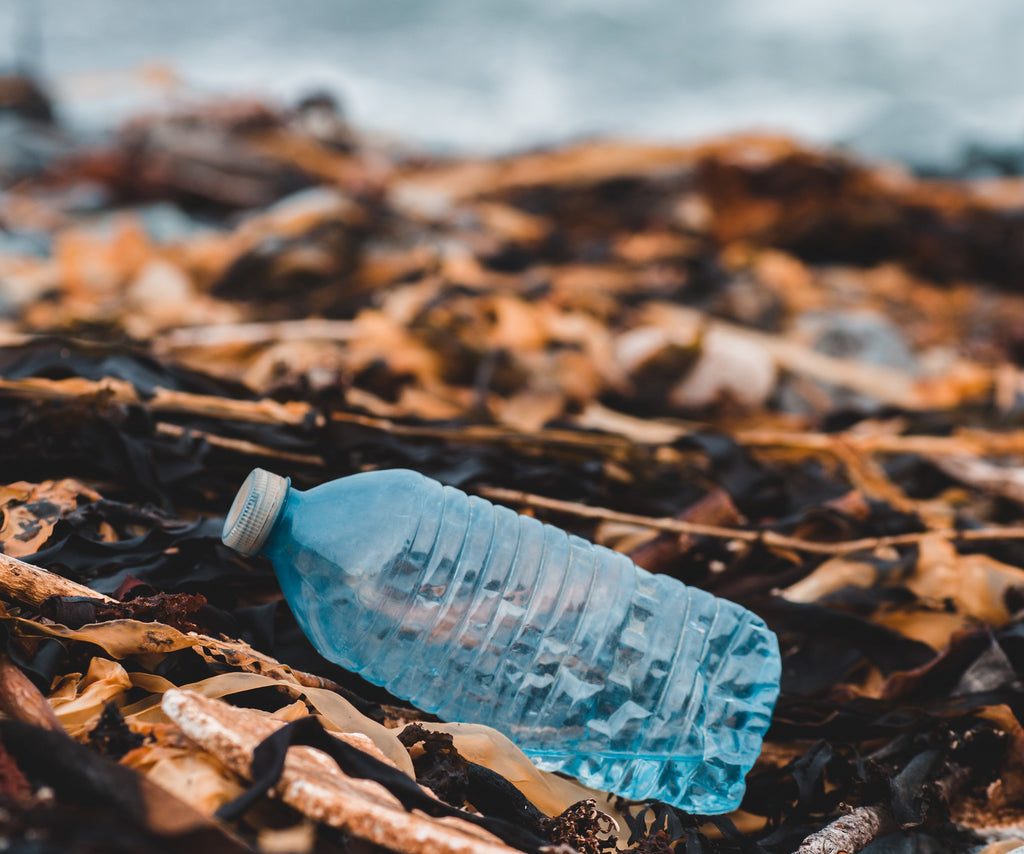 Our Plastic Water Bottle Addiction Is Costing The Earth
