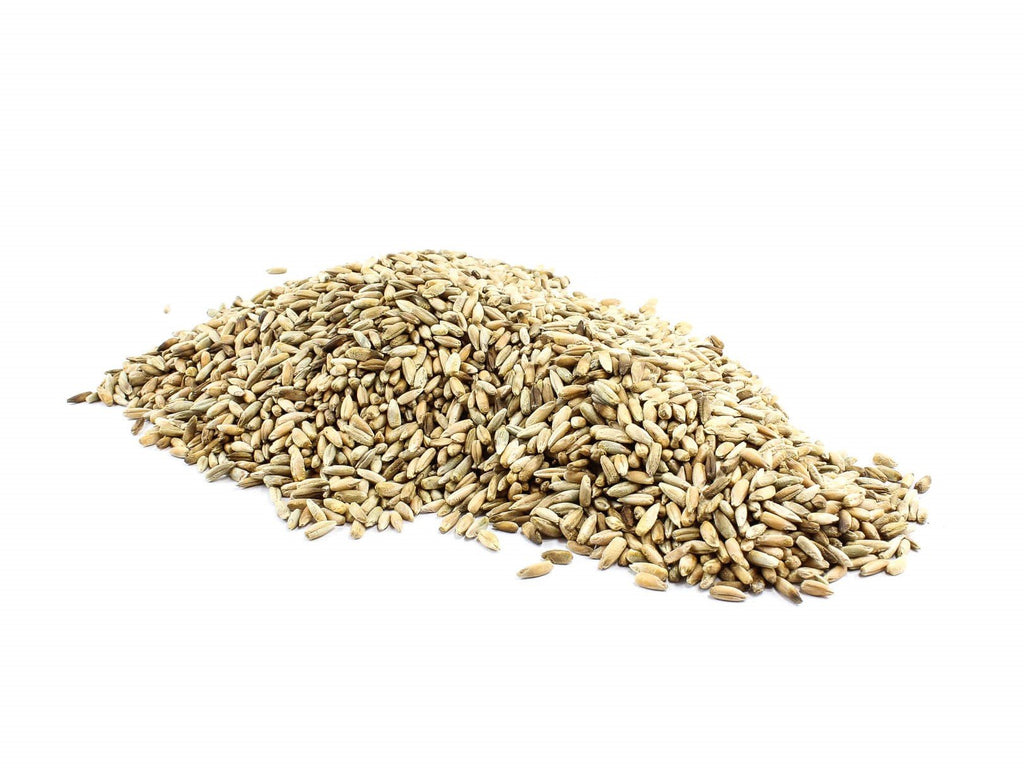 Rye Grain Organic Grains IRISH MADE