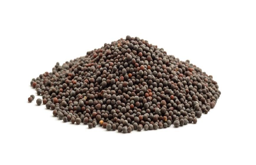 Mustard Seeds Brown Herbs & Spices