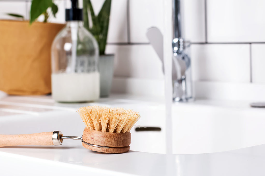 Dish Brush Replacement head   WASTE FREE LIVING